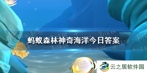 以下哪种蟹会排队换壳 1月5日答案最新